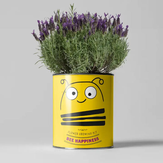 Big Bee Happiness Eco Plant Grow Kit