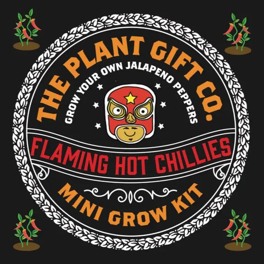 Flaming Hot Chillies Eco Mini Chilli Grow Kit