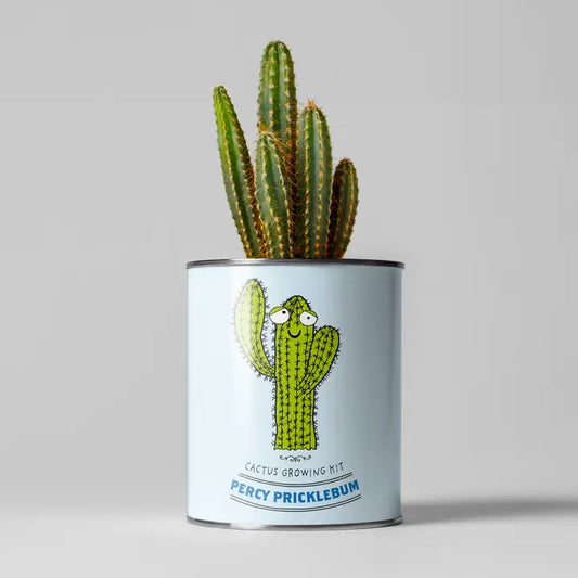 Percy Pricklebum Grow Your Own Cacti Kit