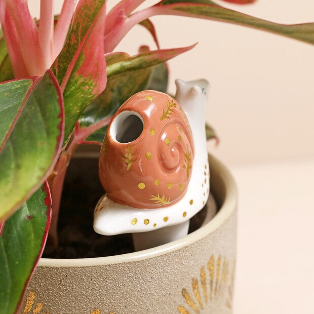 Snail Plant Watering Spike
