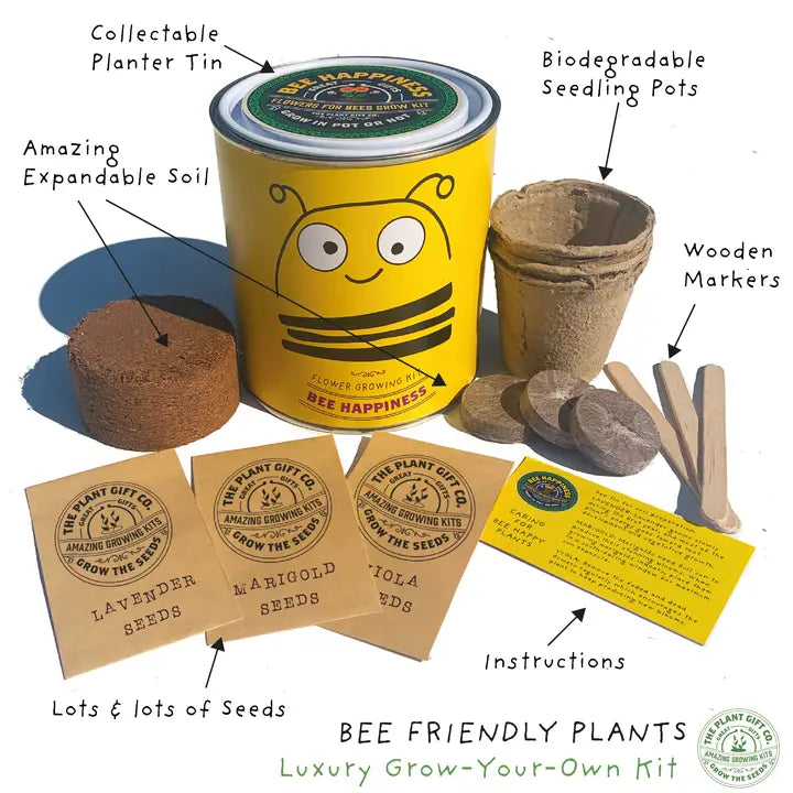 Big Bee Happiness Eco Plant Grow Kit